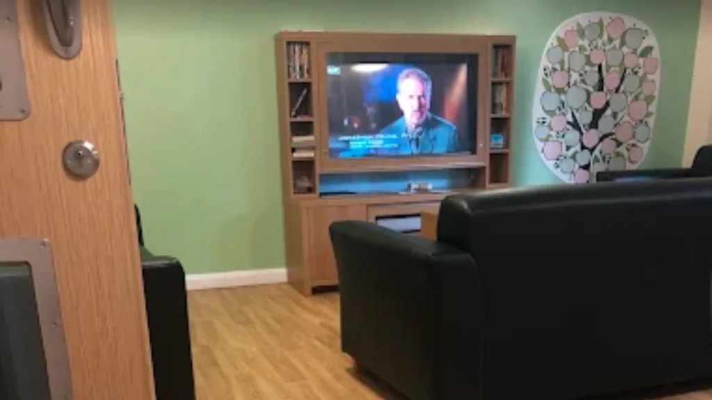 Hallam Street Hospital